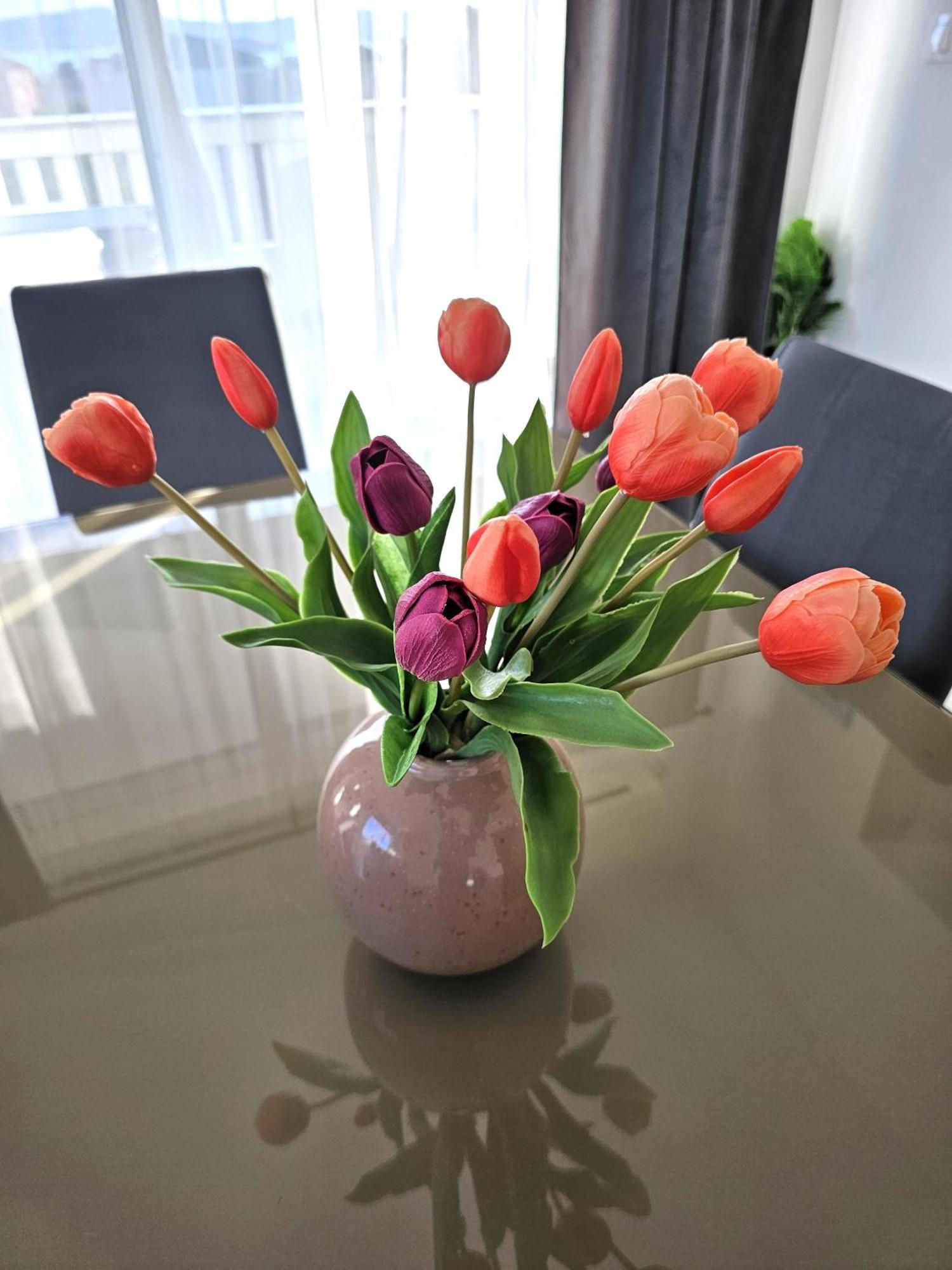 Zara Apartament *